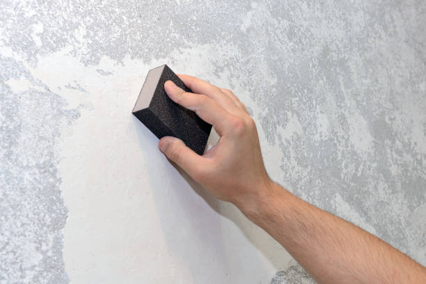 Best Biohazard Mold Removal  in Cambridge, WI