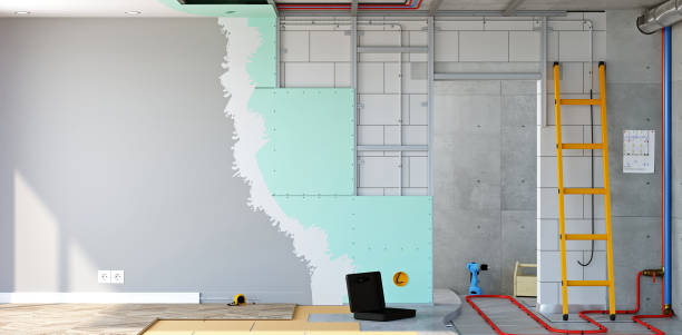 Best Basement Mold Removal  in Cambridge, WI