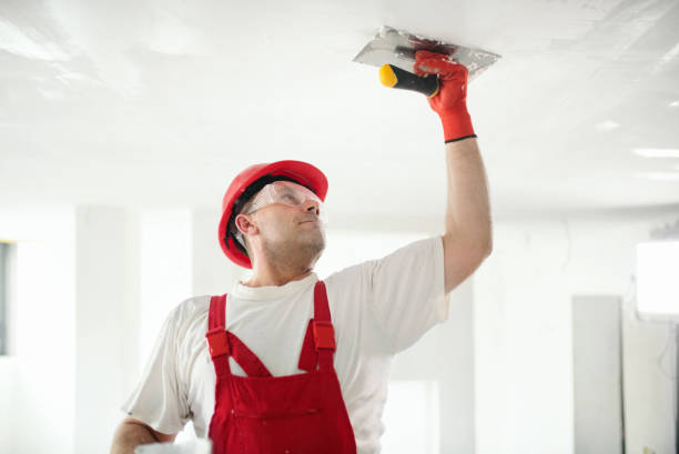 Best Basement Mold Removal  in Cambridge, WI