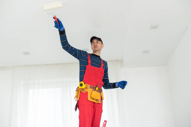 Mold Odor Removal Services in Cambridge, WI