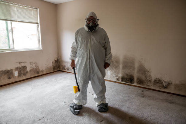 Best Mold Removal for HVAC Installations  in Cambridge, WI