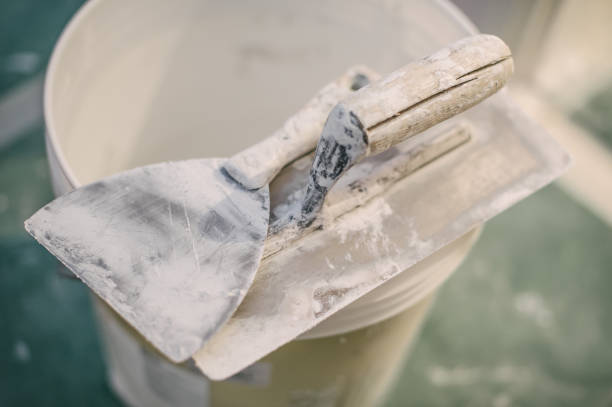 Best Commercial Mold Inspection  in Cambridge, WI