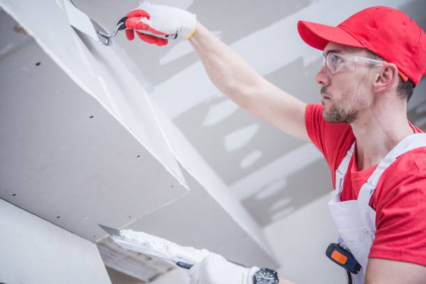 Best Attic Mold Removal  in Cambridge, WI