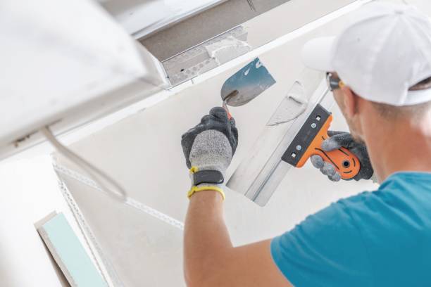 Best Air Quality Testing for Mold Spores  in Cambridge, WI
